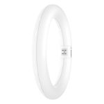Osram LED Rör T9 Cirkulär (EM/Mains) 11W 1320lm - 840 Kallvit | Ersättare 22W