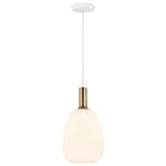 Nordlux Alton Pendellampa Glas Svart | Passande för E27