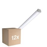 Flerpack 12x Philips LED Allmänbruksarmatur Vattentät WT060C 20W 2500lm - 840 Kallvit | 120cm