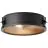 Brilliant Zois Taklampa Metall Svart | 340mm - Passande för 2x E27