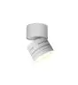 Ansell LED Downlight Reef Matt Vit 5W 486lm 90D - 830-840-860 CCT | 85mm - IP65 - Lutningsbar - Utomhus