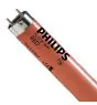 Philips MASTER TL-D 36W - Röd | 120cm