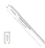 Noxion LED Rör T8 Avant (EM/Mains) Standard Output 15W 1800lm - 830 Varm Vit | 120cm - Ersättare 36W