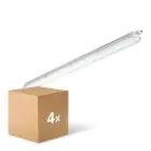 Flerpack 4x Philips LED Allmänbruksarmatur Vattentät CoreLine WT120C Gen2 25/43W 3700/6000lm - 840 Kallvit | 150cm