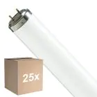 Flerpack 25x Philips T8 Flexo print 40W | 60cm - UVA