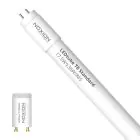 Noxion LED Rör T8 Avant (EM/Mains) Standard Output 15W 1800lm - 865 Dagsljus | 120cm - Ersättare 36W