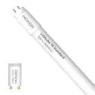 Noxion LED Rör T8 Avant (EM/Mains) Standard Output 7.5W 900lm - 830 Varm Vit | 60cm - Ersättare 18W