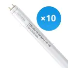 Flerpack 10x Noxion LED Rör T8 Avant Extreme (HF) High Output 14W 2100lm - 865 Dagsljus | 120cm - Ersättare 36W